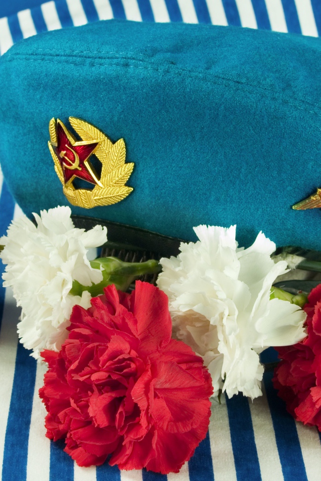 Букет гвоздик, берет ВДВ и тельняшка на 9 мая 