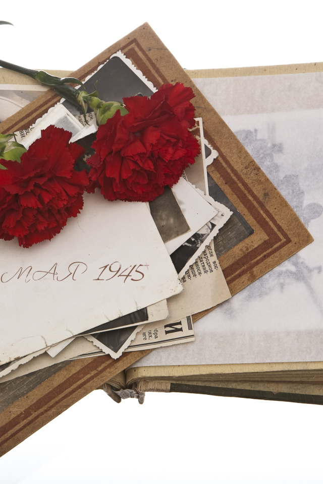 Военный альбом и две гвоздики на белом фоне на День Победы 9 мая 