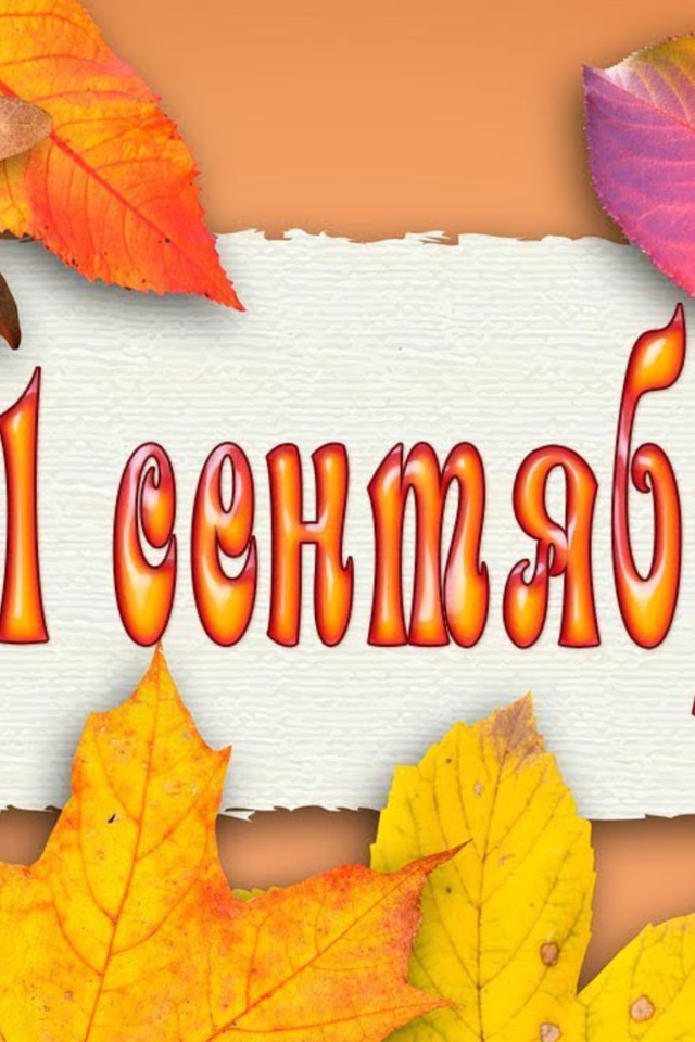 Желтые листья на 1 сентября день знаний