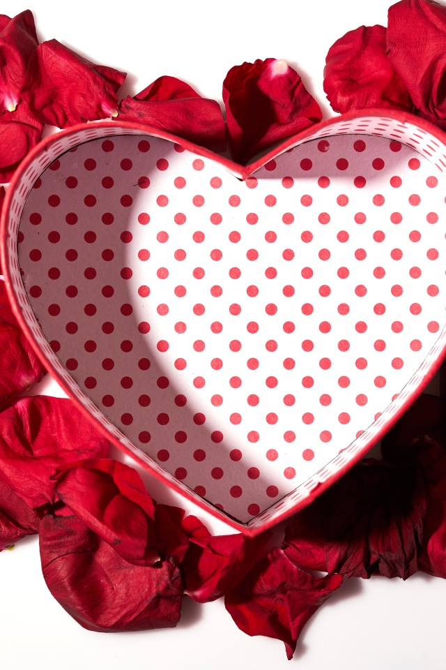 Подарочная коробка в форме сердца с лепестками красной розы на белом фоне