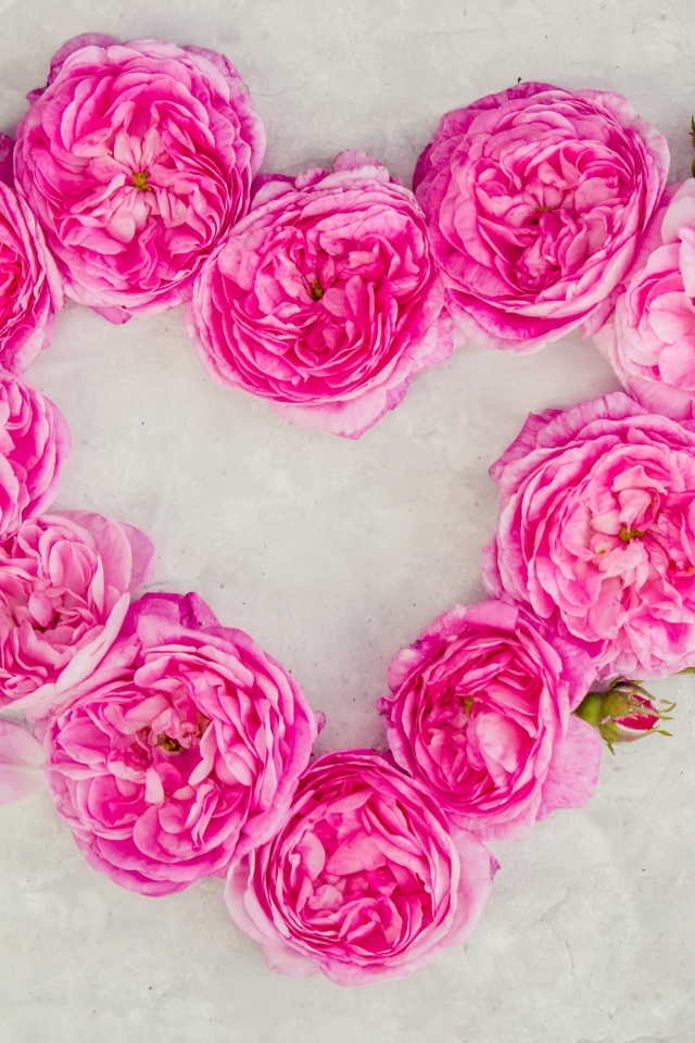 Сердце из розовых роз на сером фоне