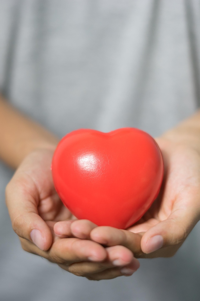 Красное сердце в ладонях 