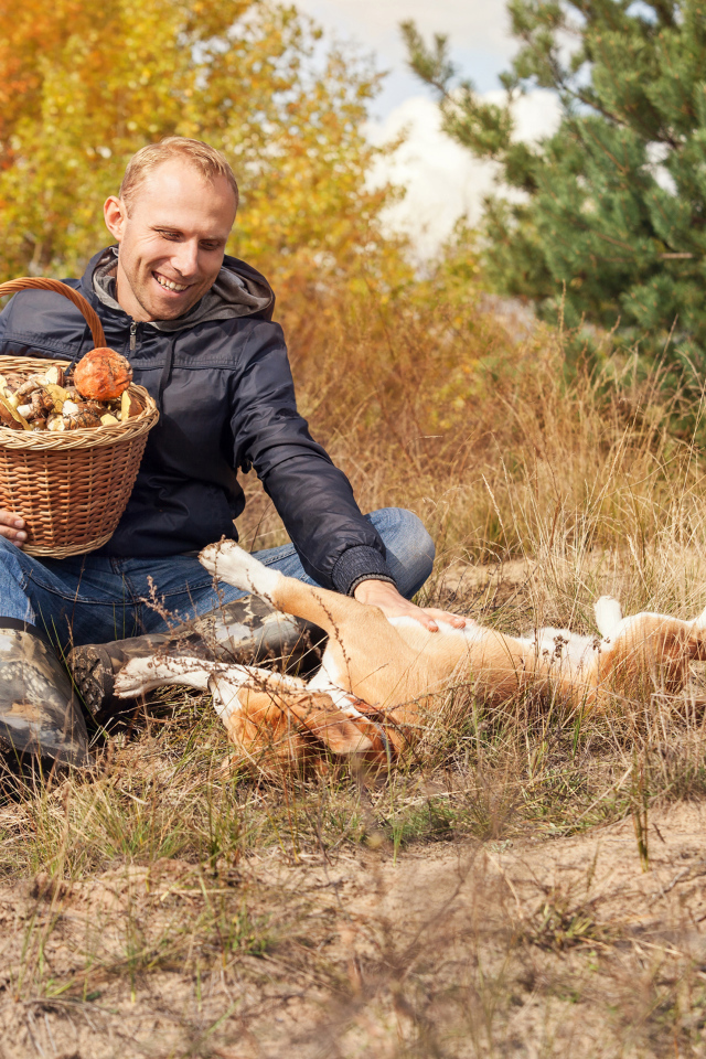 Мужчина собирает грибы с собакой в лесу