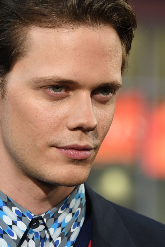 Красивый мужчина, актер Билл Скарсгорд