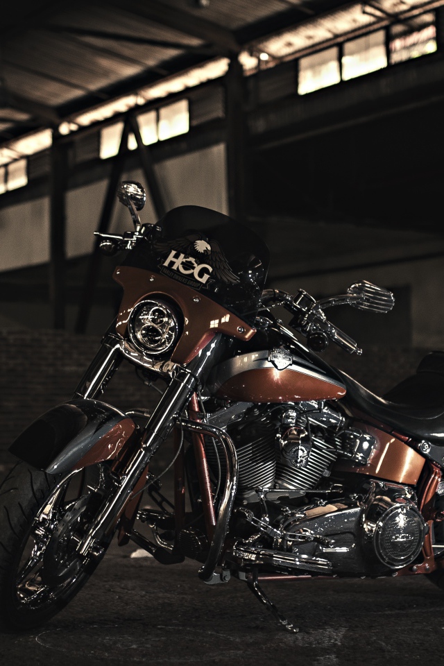 Stylish big motorcycle Harley-davidson
