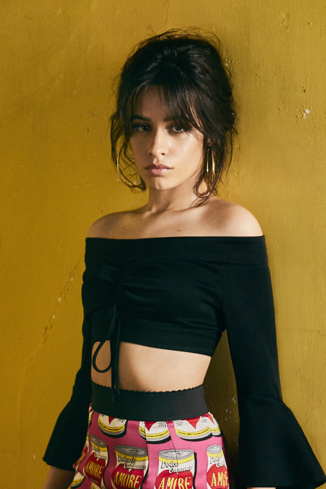 Красивая певица Камила Кабельо у стены