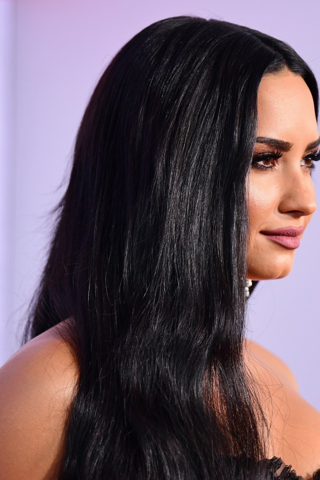 Длинноволосая брюнетка певица Деми Ловато