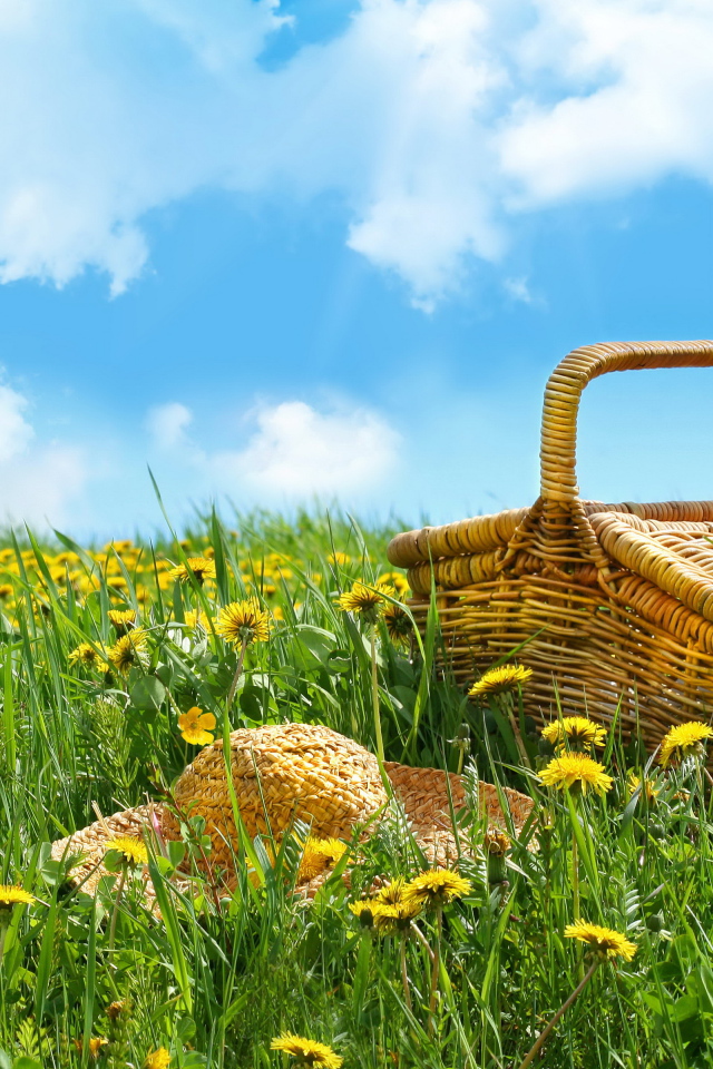 Корзина и шляпа лежат на зеленой траве с желтыми цветами