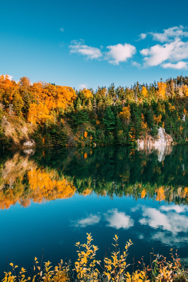 Голубое небо и лес отражаются в воде чистого горного озера