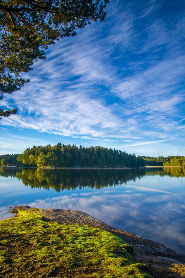 Голубое небо и зеленые деревья отражаются в воде