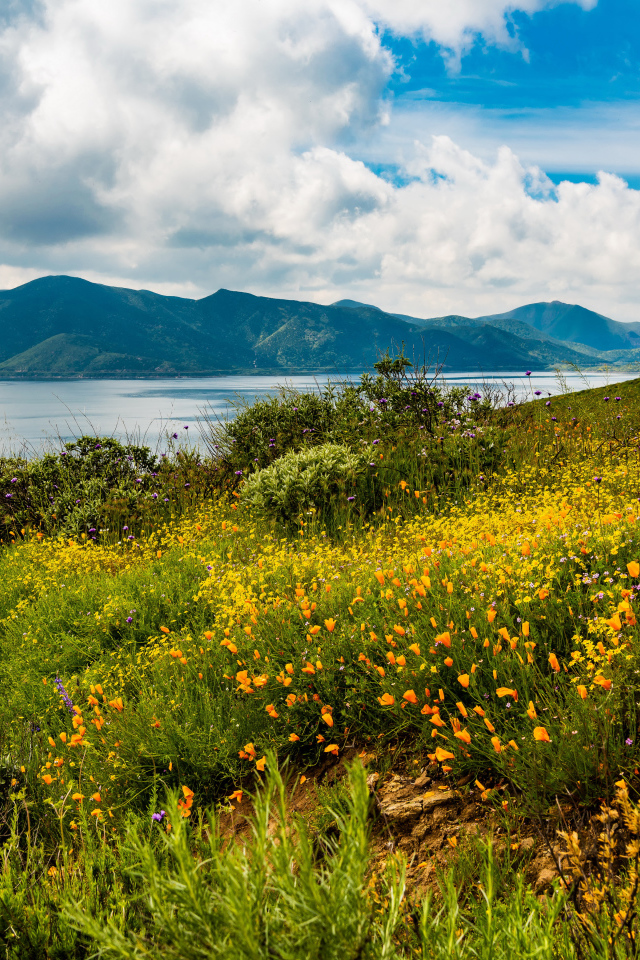 Зеленая трава на берегу озера у гор под голубым небом с облаками 