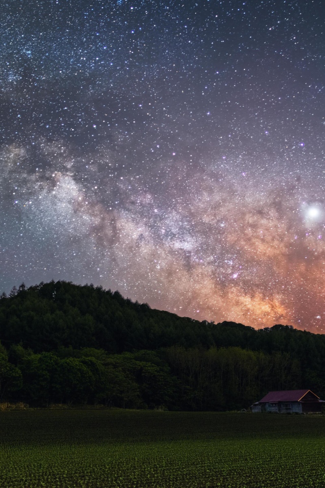 Milky Way in the starry sky above the green forest