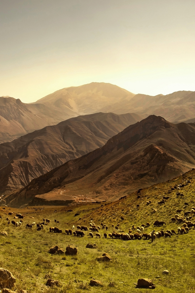 Покрытые травой холмы у гор 