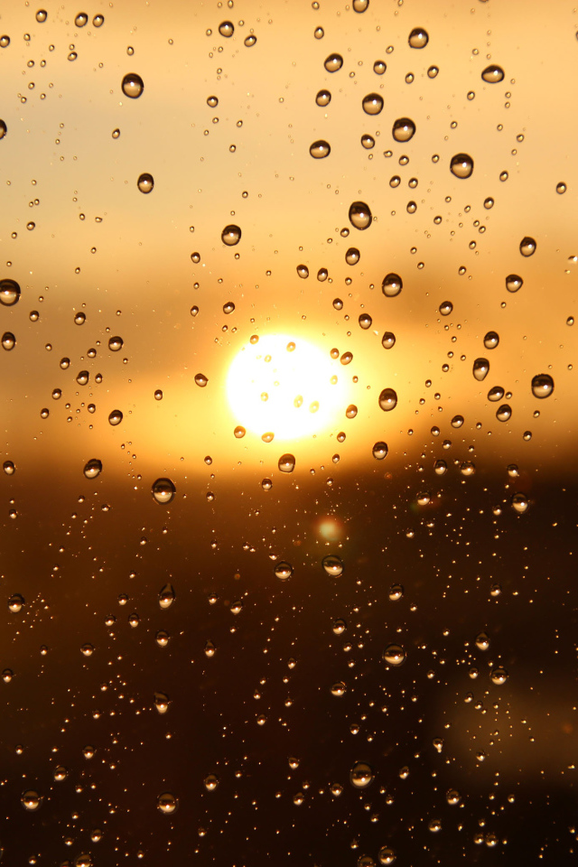 Капли дождя на стекле при свете солнца