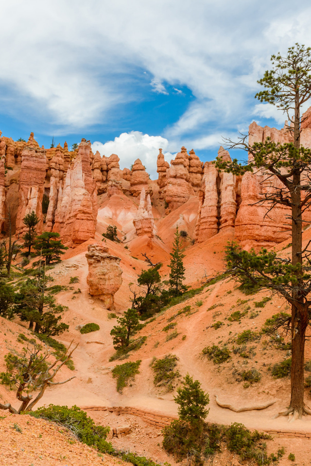 Живописный Брайс-Каньон под красивым небом, штат Юта, США