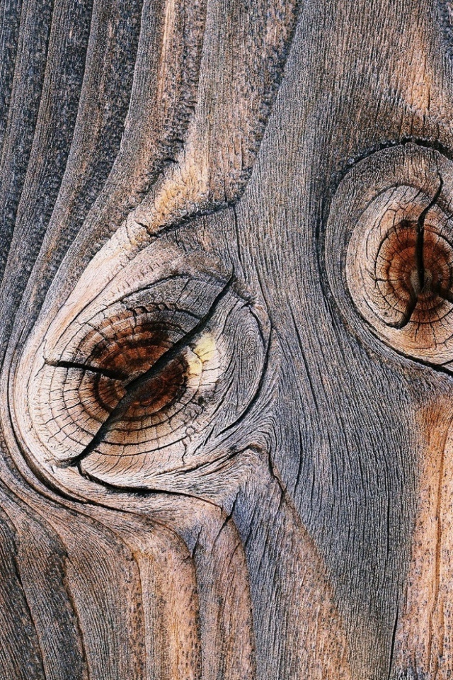 Следы от сучков с деревянной доске 