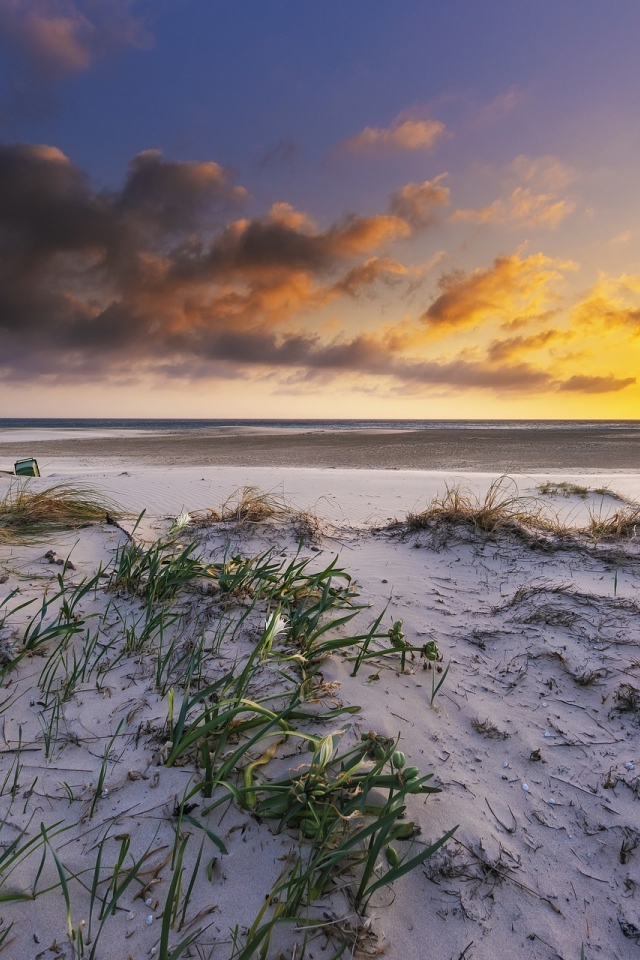 Белый песок в траве на берегу под красивым небом на закате