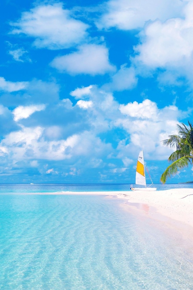 Красивый тропический пляж  с желтым песком под голубым небом