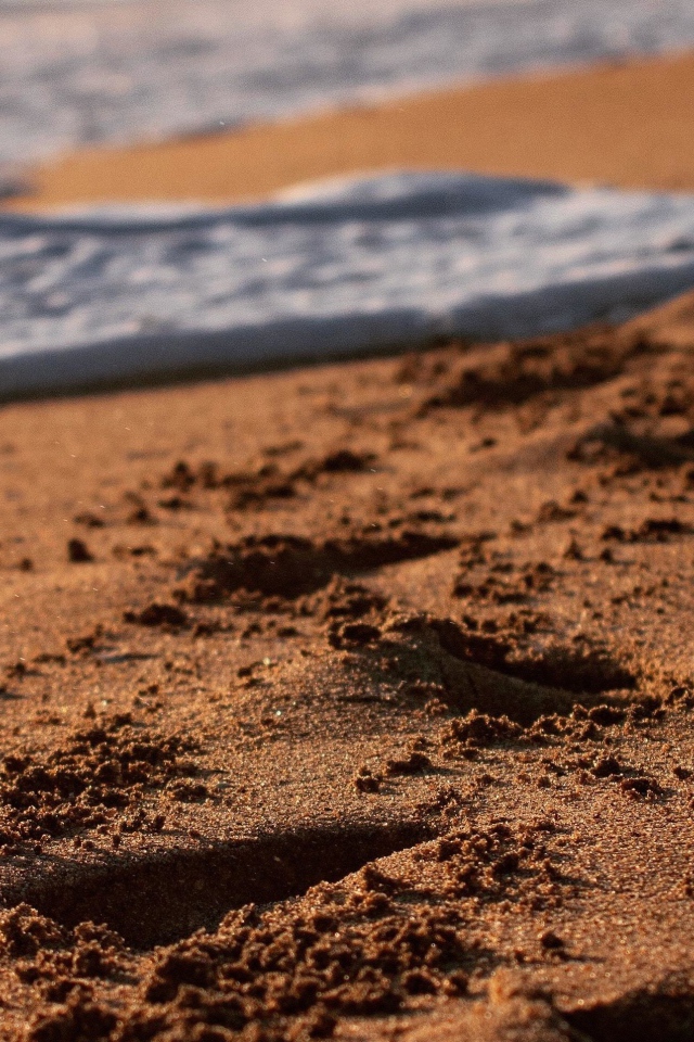 Следы на мокром морском песке с белой пеной