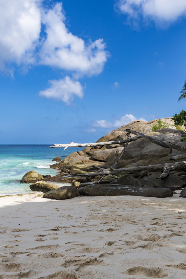 Камни на берегу океана на желтом песке под голубым небом