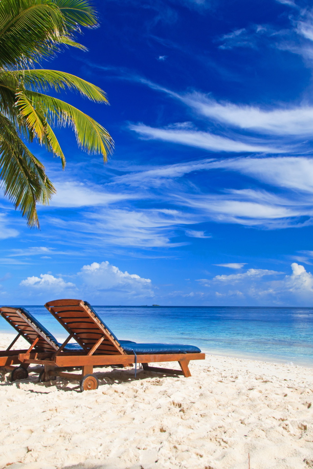 Шезлонги на тропическом пляже под голубым небом