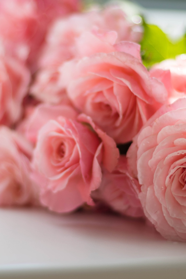 Букет розовых роз лежит на белом подоконнике  