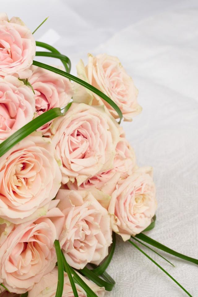 Букет розовых роз на белом покрывале 