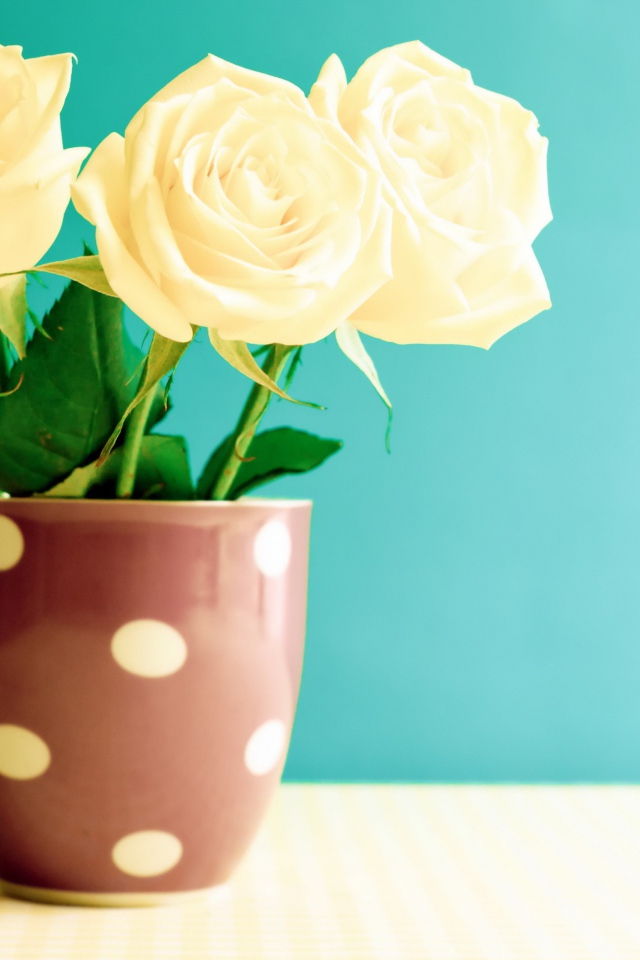 Букет белых роз в вазе на голубом фоне