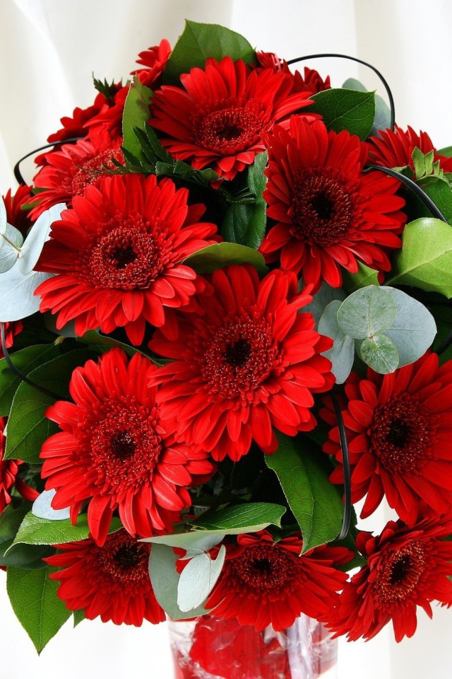 Красивый букет с красными герберами и зелеными листьями 