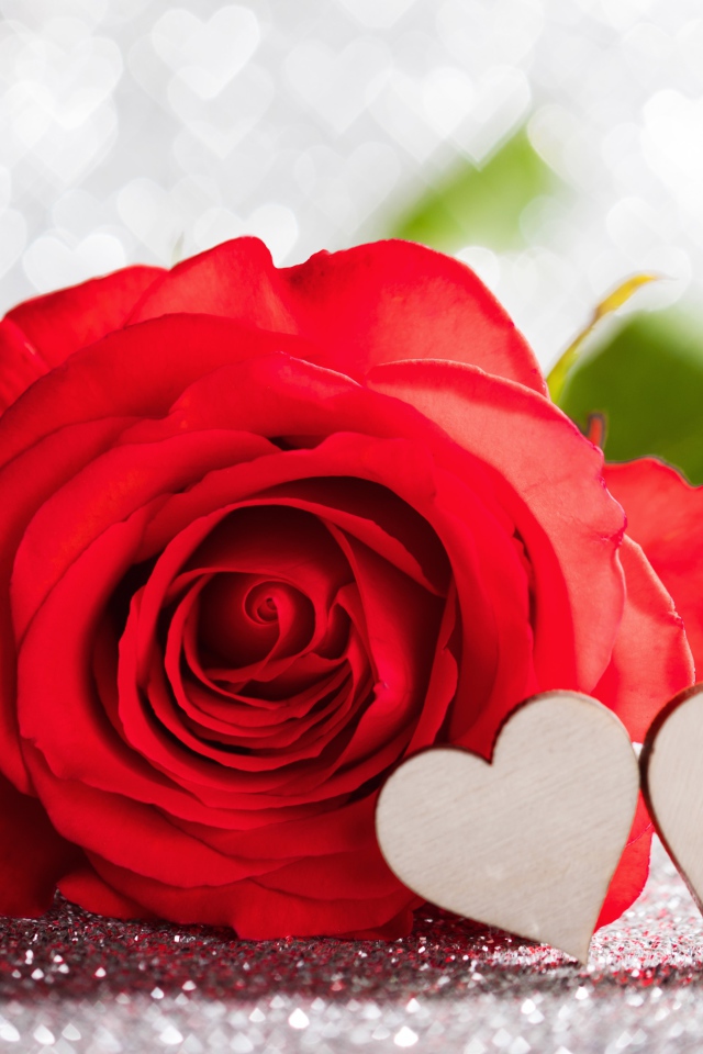 Красивая красная роза с двумя деревянными сердечками