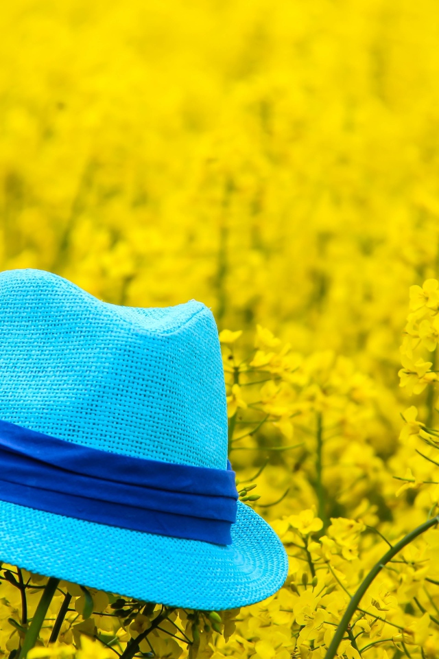 Голубая шляпа лежит на желтых цветах 