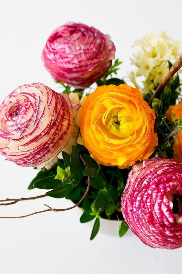 Букет разноцветных лютиков на сером фоне