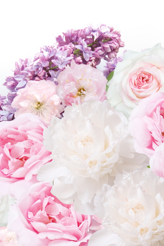 Букет пионов с сиренью на белом фоне