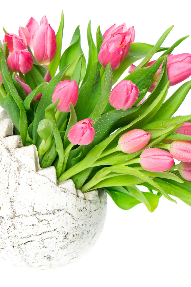 Букет розовых тюльпанов в вазе на белом фоне