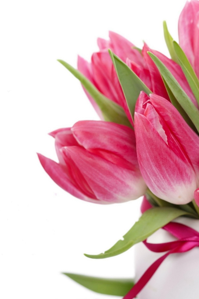 Букет розовых тюльпанов с лентой на белом фоне