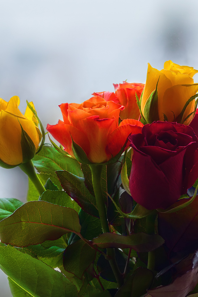 Букет колючих разноцветных роз 