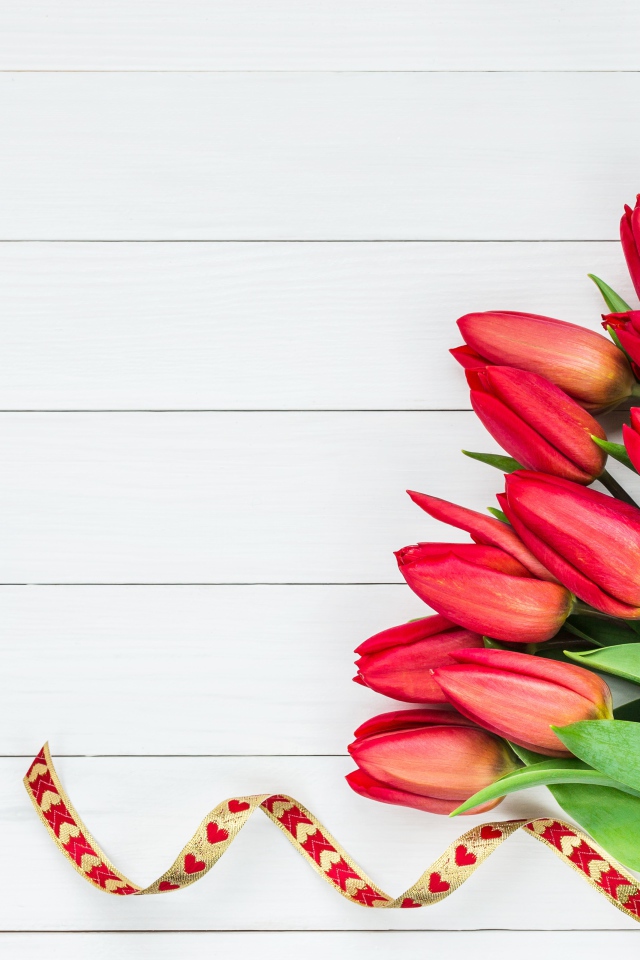 Букет красных тюльпанов с лентой на сером фоне