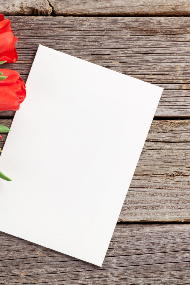 Букет красных тюльпанов с белым листом шаблон для открытки