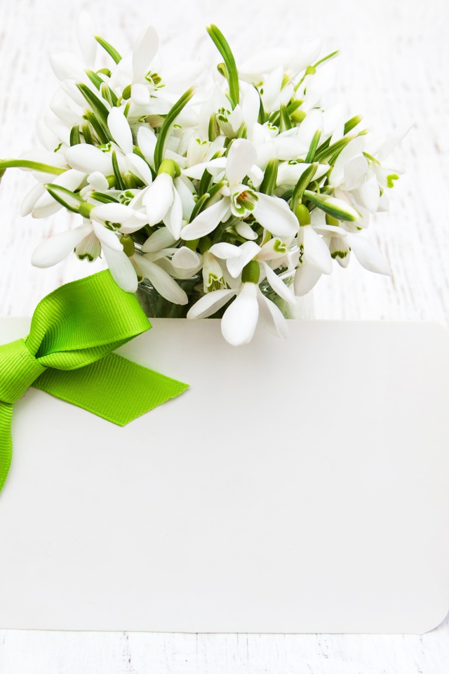 Букет подснежников с открыткой шаблон для поздравительной открытки