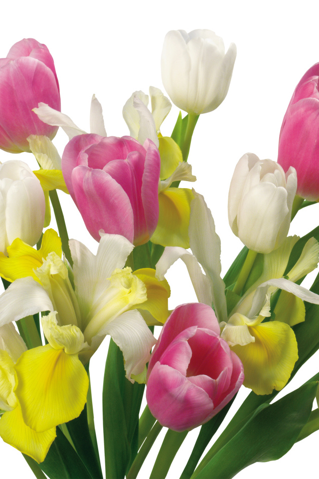 Букет желтых и розовых тюльпанов и ирисами на белом фоне