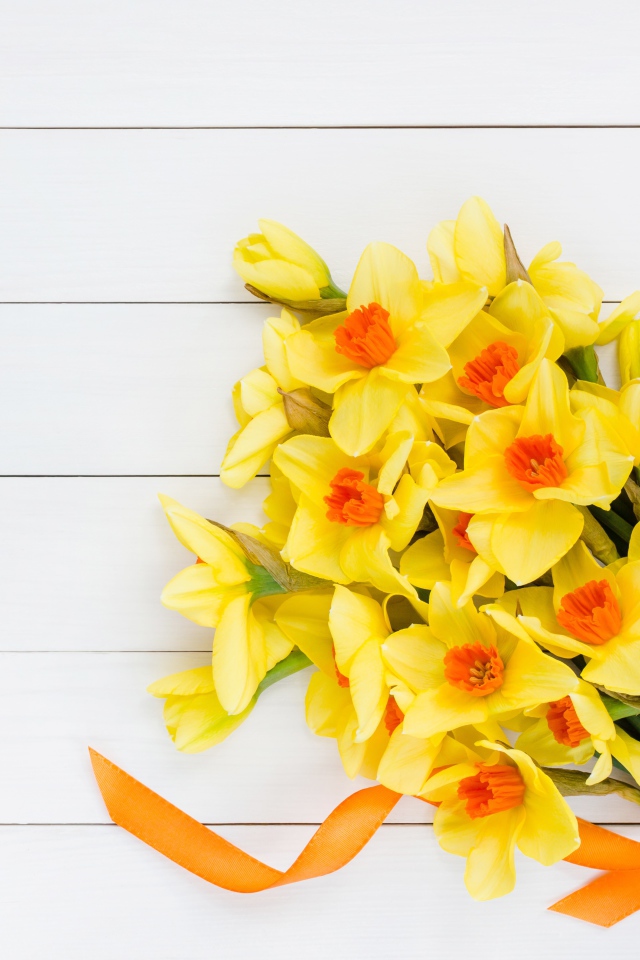 Букет желтых нарциссов с бантом на сером фоне