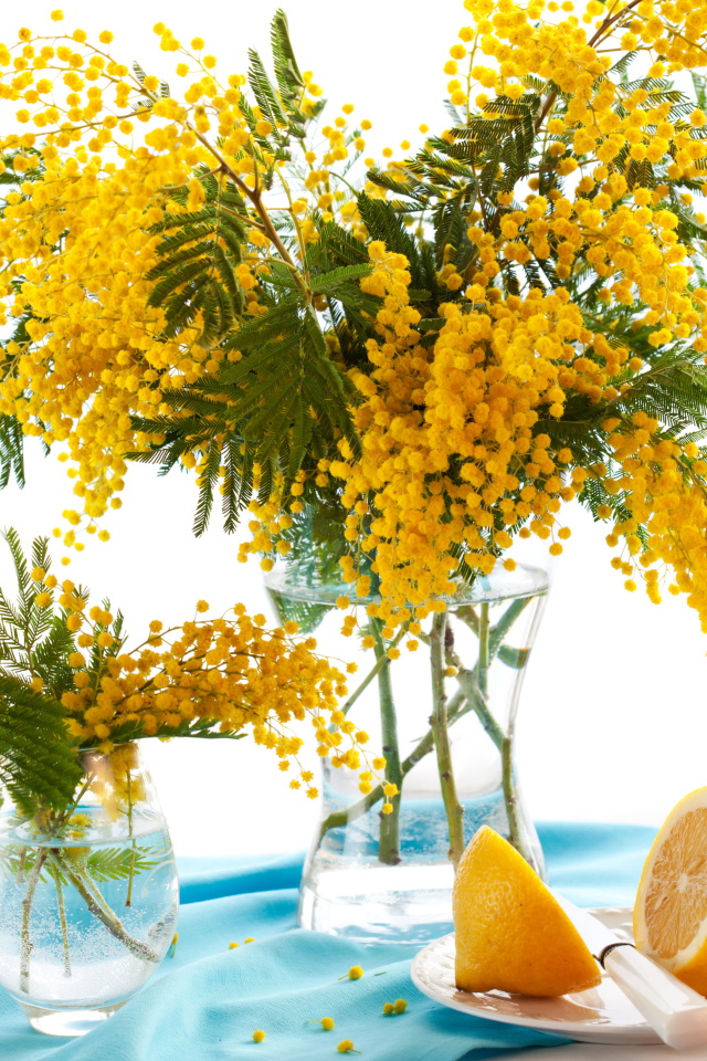 Букет желтой мимозы в вазе на столе с лимоном