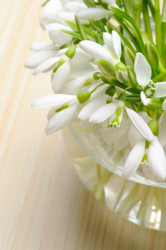 Нежные весенние первоцветы подснежники в стеклянной вазе