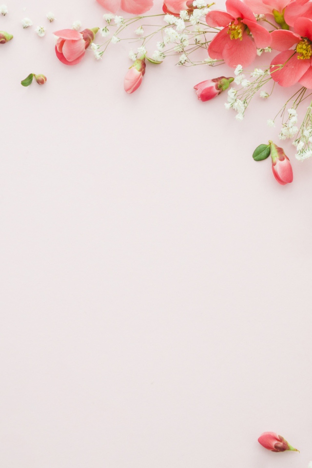 Серый фон с розовыми весенними цветами