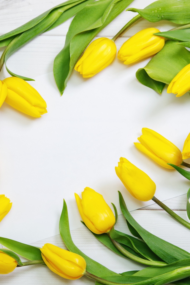 Много желтых тюльпанов с зелеными листьями на сером столе