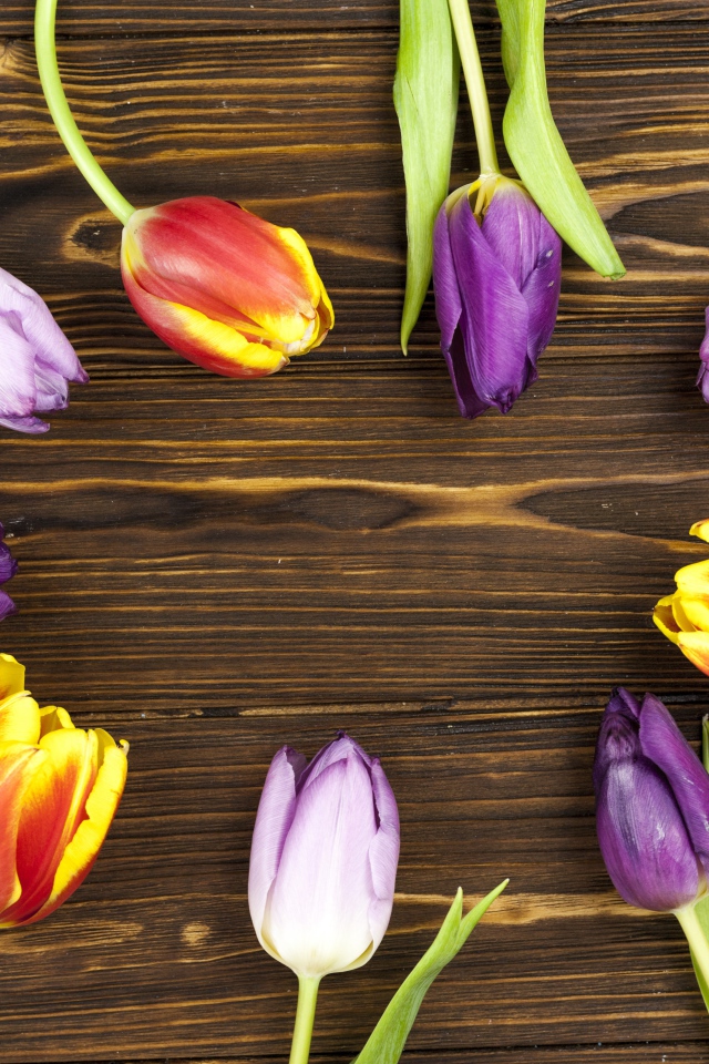 Разноцветные тюльпаны на деревянном фоне