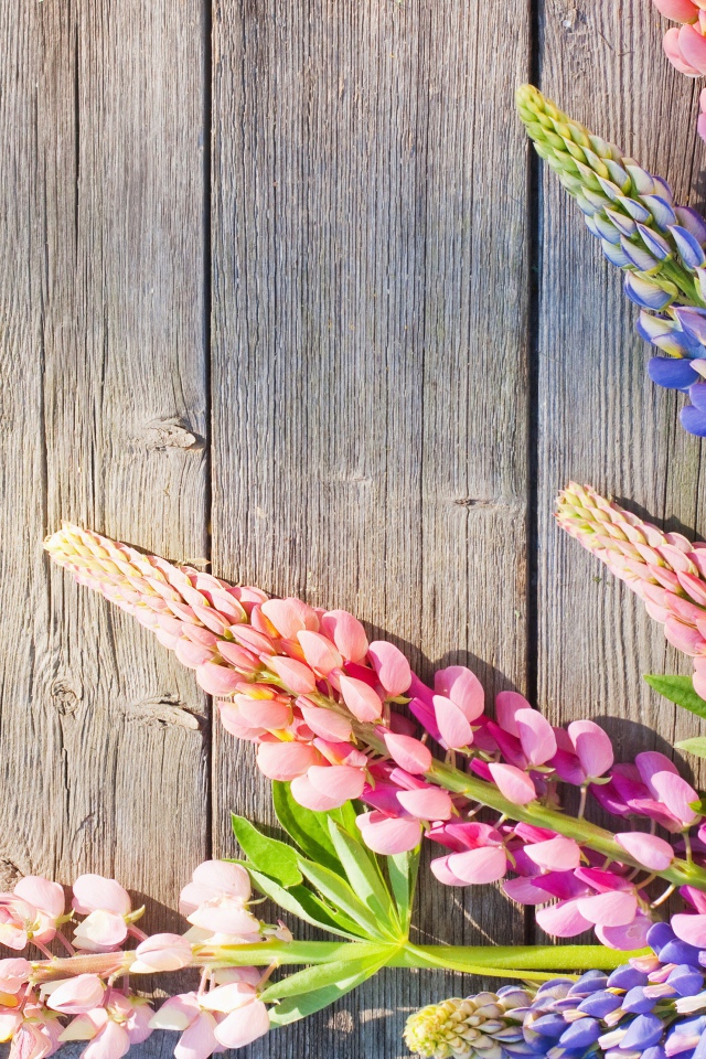 Розовые и синие люпины на деревянном фоне