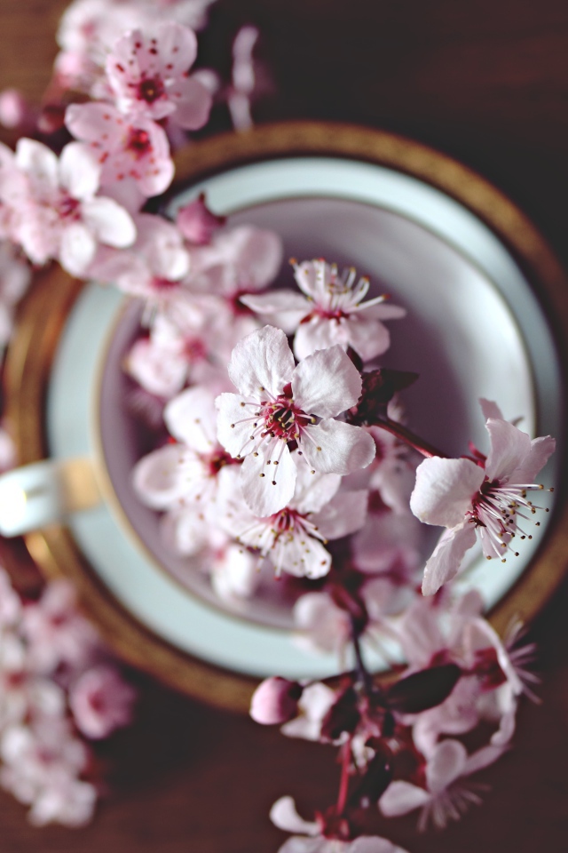 Розовые цветы в чашке на столе 