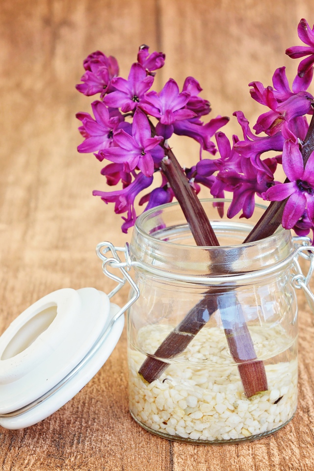 Розовые гиацинты в банке на деревянном столе