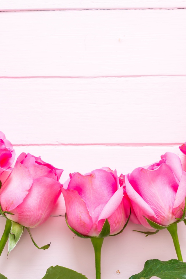 Розовые розы дугой на деревянном фоне